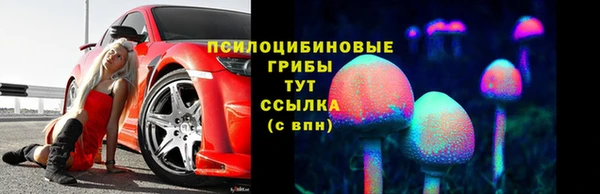 прущий лед Алзамай