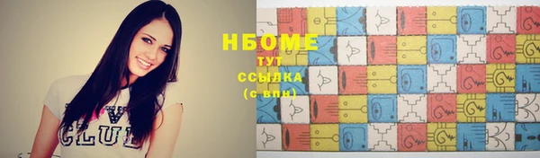 прущий лед Алзамай