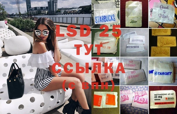 прущий лед Алзамай