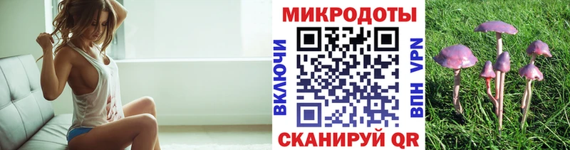 blacksprut сайт  купить наркоту  Болхов  Галлюциногенные грибы Psilocybine cubensis 
