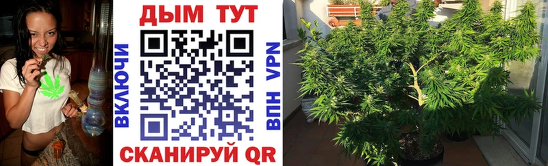 Канабис LSD WEED  купить   Болхов 